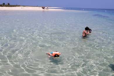 Veracruz: Snorkelen bij Isla de En Medio