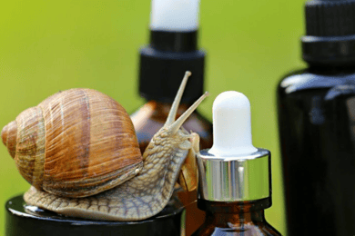 Elice (IT): "The house of snails" and beauty product