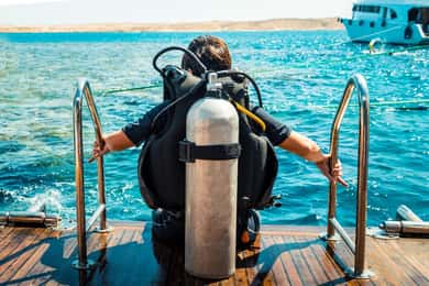 From Sharm: Luxury Diving cruise to Ras Mohammed with Lunch