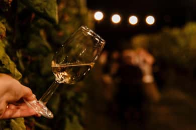 Middag på vingården i Alba med vinsmagningsaperitif og besøg på vingården