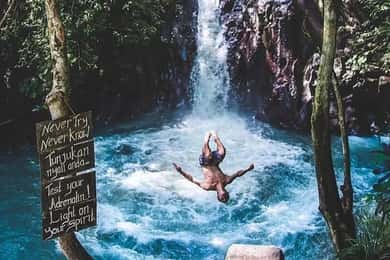 Bali: Dolphin Watching, Aling Aling Waterfall, and Coffee …