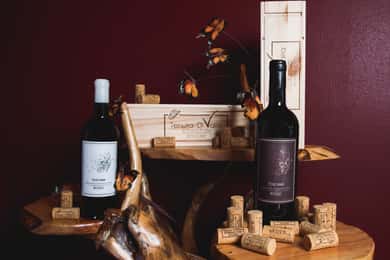 “Cioccaie” Tour & Monovarietal Wines Tasting