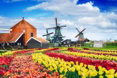 Amsterdam till Zaanse Schans väderkvarnar, Volendam & Edam med bil