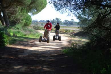 Faro: Segwaytour & vogels kijken in het natuurpark Ria Formosa