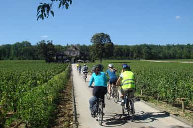 Desde Beaune Tour de un día en bicicleta y vino por Borgoña