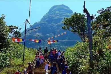 Z Hatton: Adam's Peak Sunrise Hike z transferem do hotelu