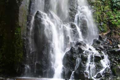 Ganztagestour 4x4 Nordeste Azoren ab Ponta Delgada