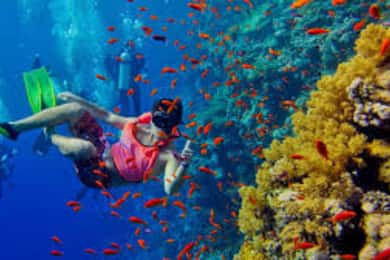 Zanzibar: Jozani Forest, Kuza Cave, Blue Lagoon & Dinner