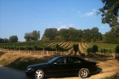 Ganztagestour Montefalco und Bevagna Weinverkostung