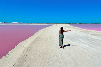 Riviera Maya: Rio Lagartos & Las Coloradas Day Trip w/Lunch