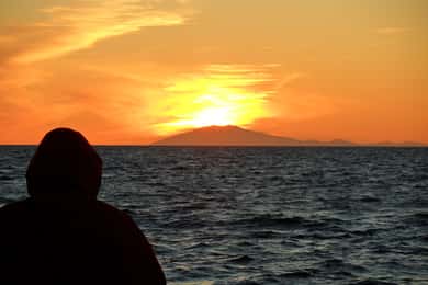 Reykjavik: Midnight Sun Whale Watching Tour