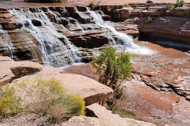 Zion National Park: Waterfall Hummer Tour with Pools