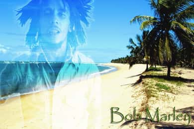 Montego Bay: Excursão de Bob Marley a 9 Mile, St. Ann
