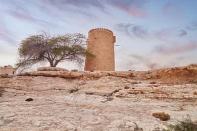 Doha : Private North of Qatar Tour, Zubara Fort & Mangroves