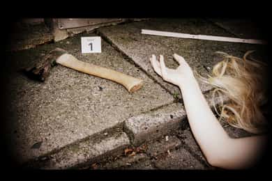 ブレーメンのダークサイド：殺人者と犯罪者