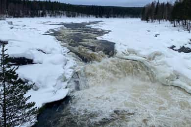 Överkalix: Dagstur till polcirkeln och vattenfall