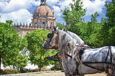 Jerez : visite guidée du centre historique