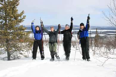 Kiruna: Caminhada com raquetes de neve, bebida quente e sanduíche