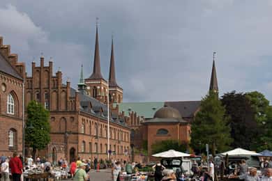 København: Rundtur i Roskilde, vikingebyen på engelsk