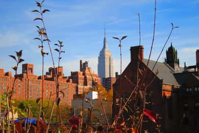 New York City: High Line Walking Tour