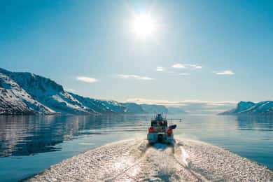 Von Alta aus: Abenteuer-Kreuzfahrt im Alta Fjord