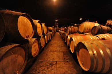 Tour de cata de vinos de Borgoña de día completo desde Dijon