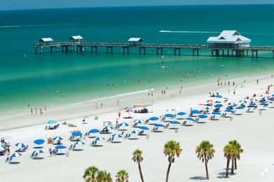 Från Orlando: Clearwater Beach och inträde till marinakvarium