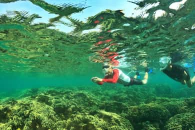 Fra Phu Quoc: Oppdag 4 øyer med hurtigbåt på dagstur