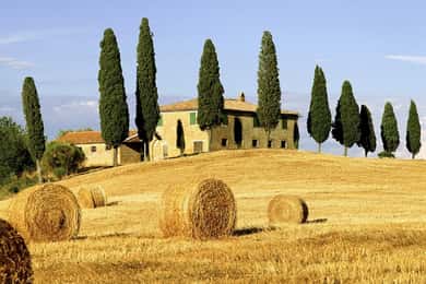 Shore Trip from La Spezia: Pisa,Lucca,lunch & tasting Winery