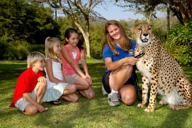 San Diego Zoo Safari Park Tagesticket