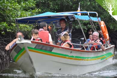 Langkawi: 6-timers Kilim Mangrove-båttur med lunsj og henting