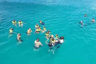 Bridgetown: Cruzeiro pela Baía de Carlisle para ver tartarugas e naufrágios