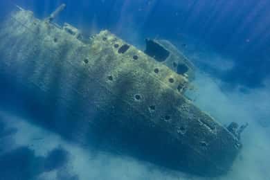 Elba-Insel Bootsausflug zum Schiffswrack Elviscot