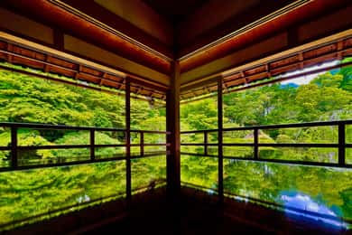 Kyoto: Tour privato di Enryakuji e della città dei monaci, patrimonio dell'umanità