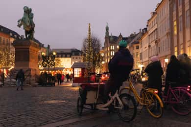 Copenhagen: Christmas Bike Tour with a local Guide