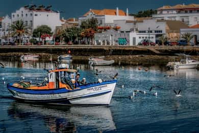 De Albufeira: viagem guiada de 1 dia a Loulé, Faro e Tavira