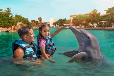 Puerto Aventuras : baignade avec les dauphins, lions de mer, lamantins et déjeuner