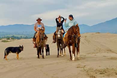 Horseback riding, Penguins, Winery, Alpacas & Cowboy BBQ