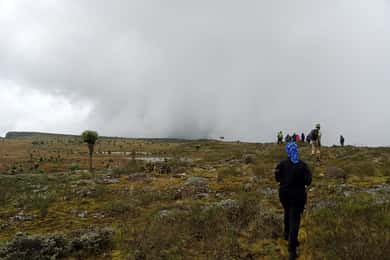 Aberdare National Park: 3-Day Guided Hiking Tour