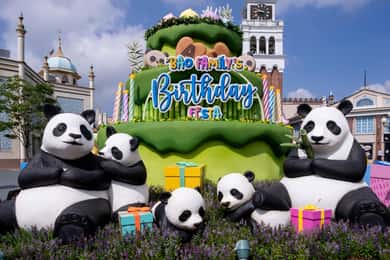 Visite d'Everland : entrée rapide à Panda World (offre valable jusqu'au 30 juin)