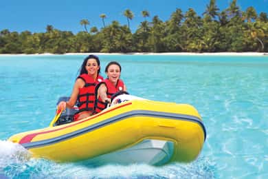 Sint Maarten: 3-uur durende neushoornsafari-excursie