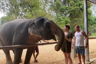 Krabi: Khao Sok elefantreservat, raftingtur og frokost