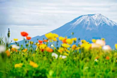 Tóquio: 5ª Estação do Monte Fuji e viagem de 1 dia para Onsen | Especial de verão