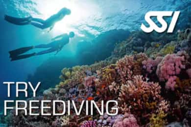 Málta: Try Freediving SSI – Szabad merülés bemutató francia nyelvű oktatóval