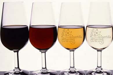 Degustare de vinuri Montilla-Moriles