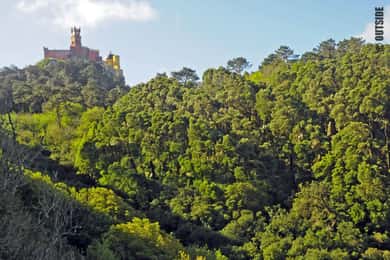 Sintra: 3,5-timers klatreoplevelse