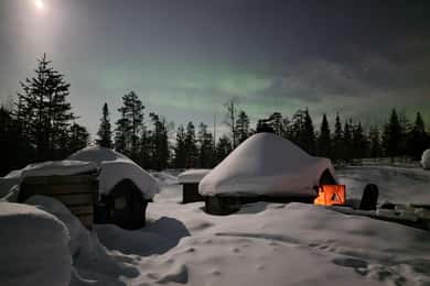 Snow Activities and reindeer feeding in nature
