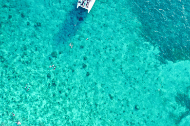 Key West: Dolphin Watching and Snorkeling Sunset Cruise