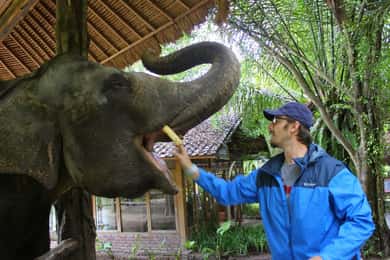Bali: Taman Safari en olifanten voeren met hotelvervoer