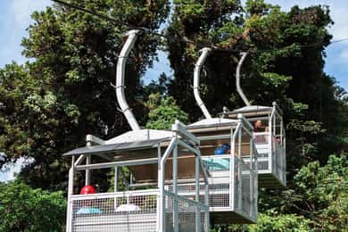 Monteverde: TreeTram Cableway and Cloud Forest Hiking Trail